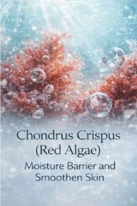 4cf1fd22-e577-49c2-9718-d66bc38f46ee